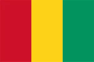 Republic of Guinea country overview flag
