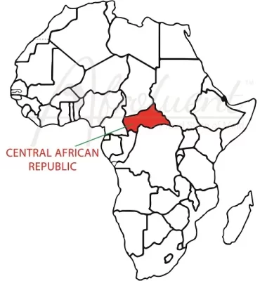 Central African Republic country overview location on the African map