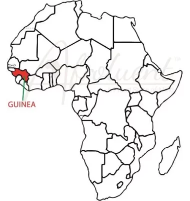 Guinea country overview location on the African map