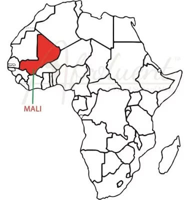 Mali country overview location on the African map