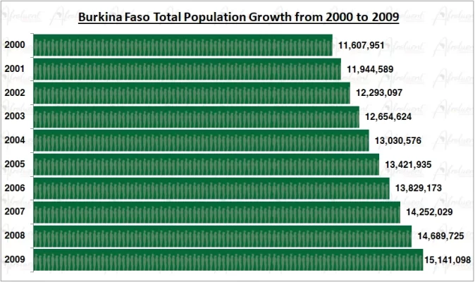 Burkina Faso Population Growth in the 2000s Chart