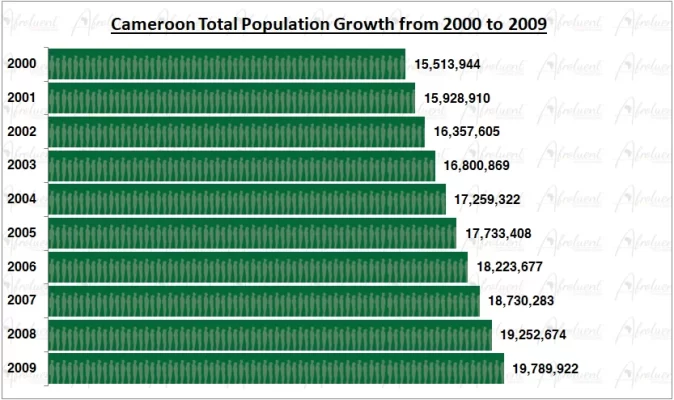 Cameroon Population Growth in the 2000s Chart