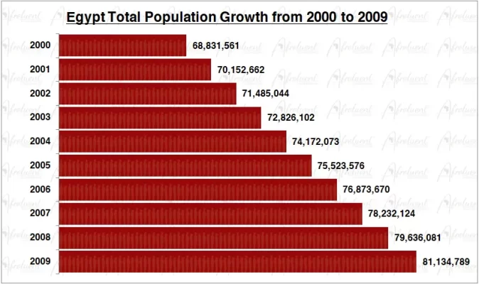 Egypt Population Growth in the 2000s Chart