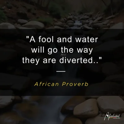 A fool and water will go the way they are diverted. African quote and proverb.