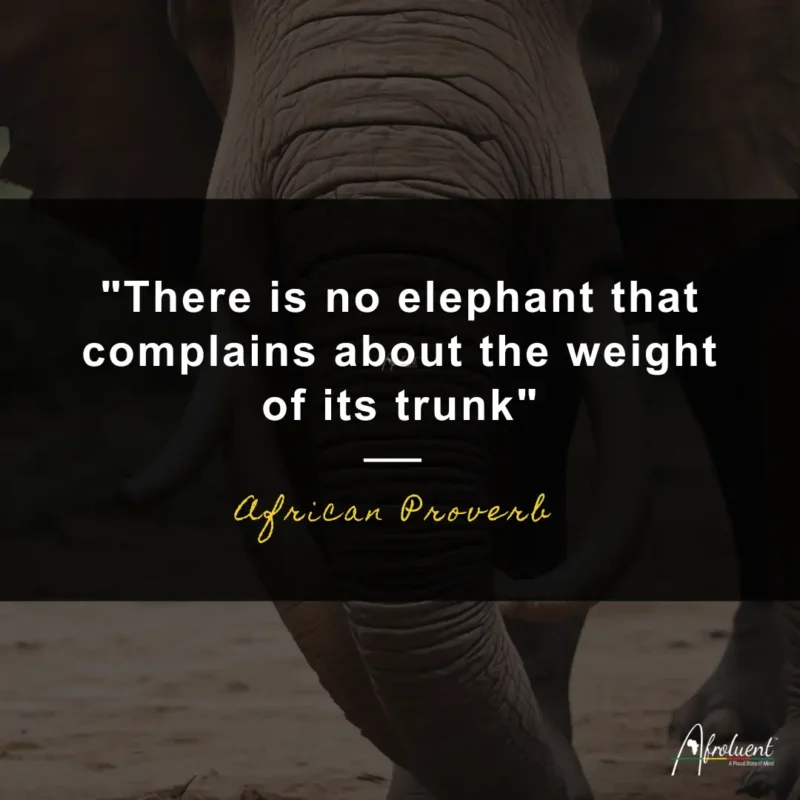 There is no elephant that complains about the weight of its trunk.