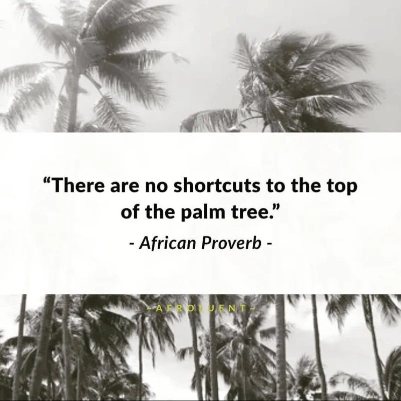 There are no shortcuts to the top of the palm tree.