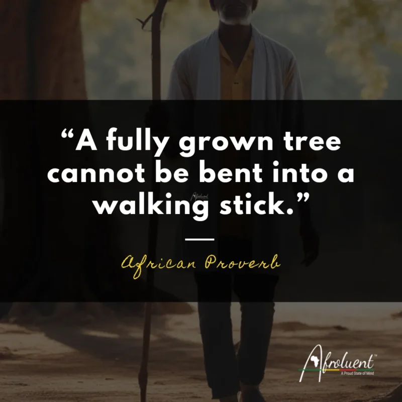 “A fully grown tree cannot be bent into a walking stick.”