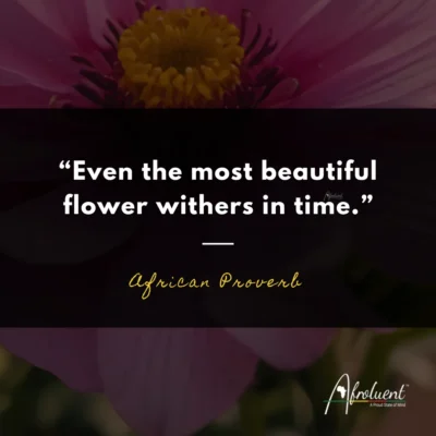 "Even the most beautiful flower withers in time.” African proverb and quote.