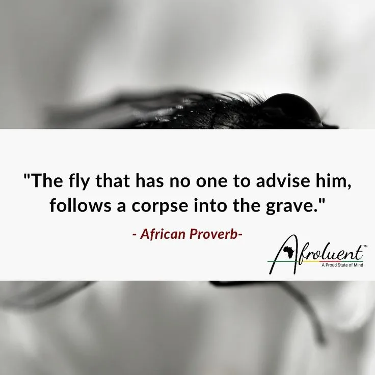 "The fly that has no one to advise him follows a corpse into the grave.” African proverb and quote.