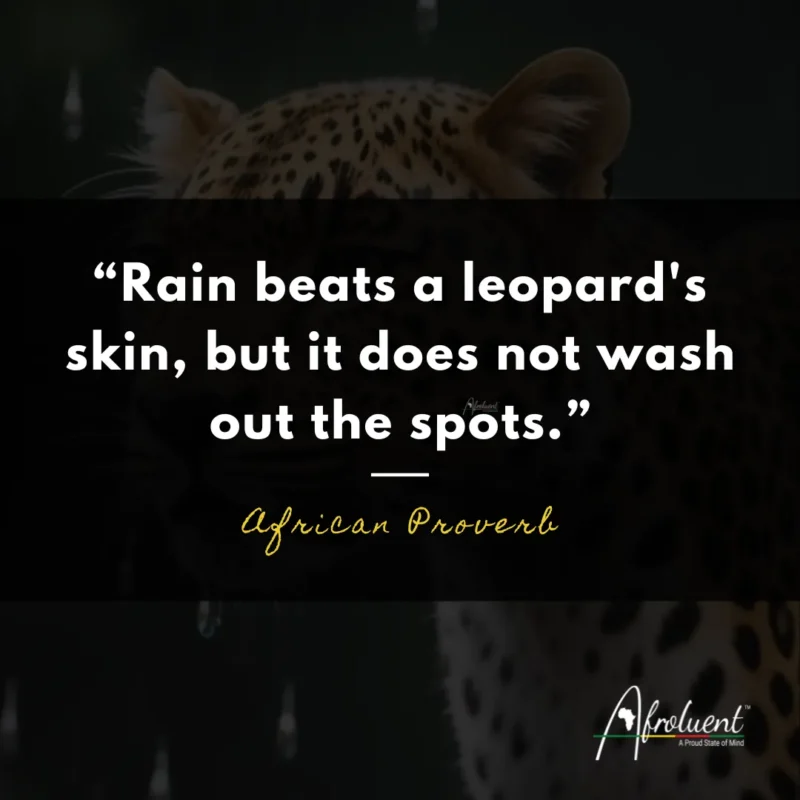 "Rain beats a leopard's skin, but it does not wash out the spots.” African proverb and quote.