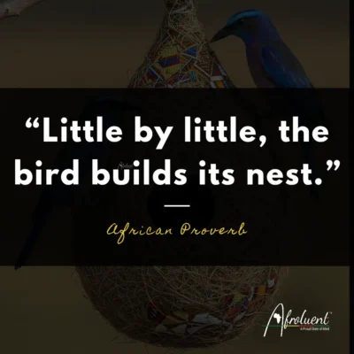 "Little by little, the bird builds its nest.” African proverb and quote.